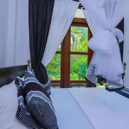 The Green Jungle Dambulla Exterior photo